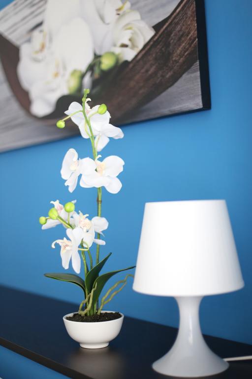 Iris Room ローマ エクステリア 写真